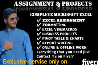 do urgent ms excel, word assignments projects and powerpoint presentation