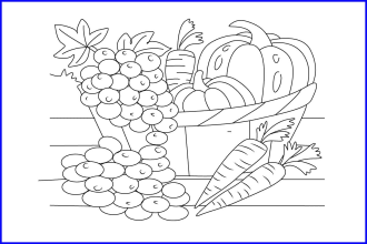 draw one line art of flowers, fruits, vegetables, plants