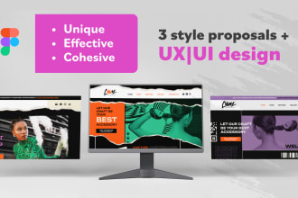 present 3 style options for your website and design it