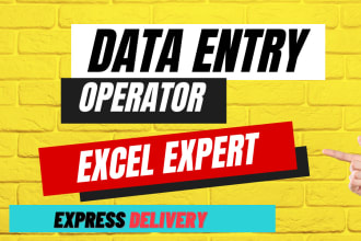 do excel data entry and web research