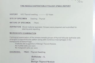 am a professional CV resume writer