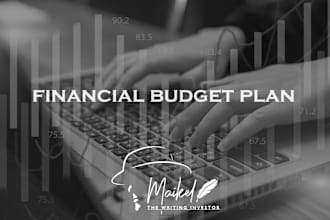 write you a budget plan with ROI