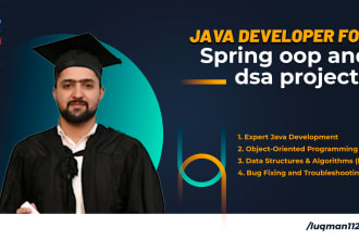 be your java developer for spring oop and dsa projects
