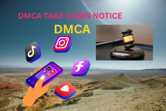 takedown content under dmca from, reddit, etsy, google search