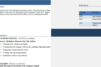 offer professional job resume, cover letter and linkedin