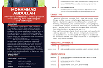 provide you professional CV and resume writing service