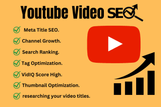 best youtube video seo expert