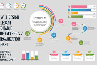 design infographic flowchart or diagram within 24 hours