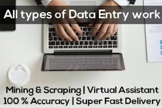 do get efficient excel data entry PDF to word and fast typing services