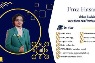 do data entry, excel, word, copy paste and web research