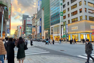 go shopping with you as your interpreter in tokyo