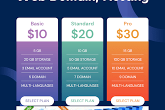 do your hosting, domain and website
