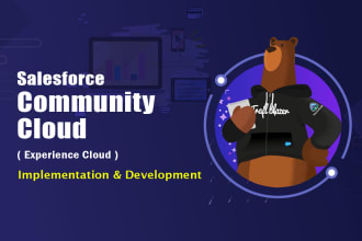 be you salesforce community or experience cloud consultant