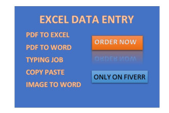 do excel data entry, convert PDF to excel, image to word