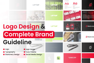 create a professional logo with complete brand guidelines