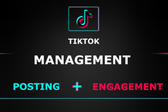 be your tiktok manager, tiktok content and post creator