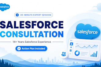 provide expert salesforce consultation to solve your CRM challenge