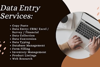 provide professional data entry services