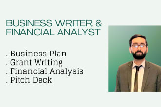 write a professional business plan and do financial analytics