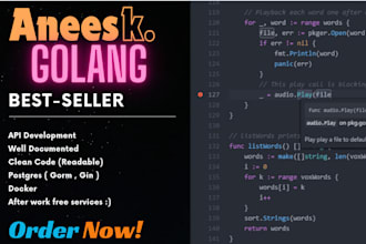 develop rest api server , web app and projects in golang