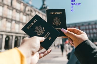 write business plan for visa USA e2, eb2, l1 visa