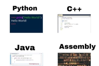 help in java, python, cpp, programming and sql assembly projects