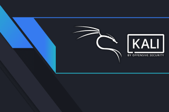 kali linux virtual machine for cybersecurity  testing