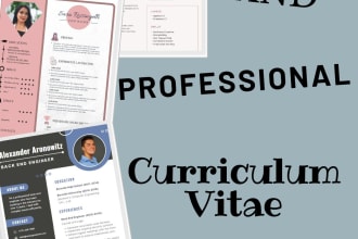 make you the best and professional curriculum vitae