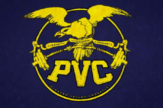 do a great eagle logo for your imagination