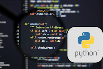 write expert custom code and scripting solutions