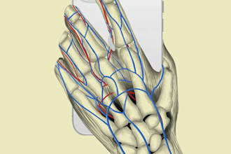 do medical illustrations for your books, publications project and research
