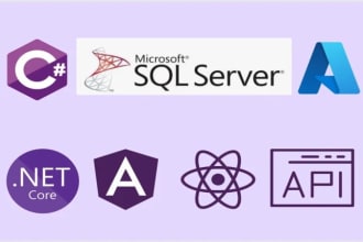 be your dot net and angular developer