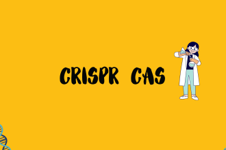 assist you with crispr cas mediated genome editing and more