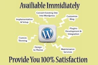 customize or modify wordpress website, theme