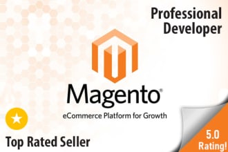 work, fix or customize your magento 1 or 2 website