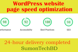 speed optimization wordpress website