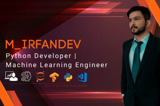 be your expert python developer for professional coding, scripting and solutions