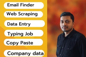 be your virtual assistant for data entry, company data, web scraping