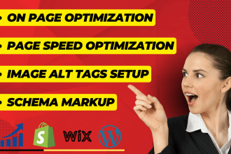 advance shopify on page SEO wordpress on page optimization and website audit