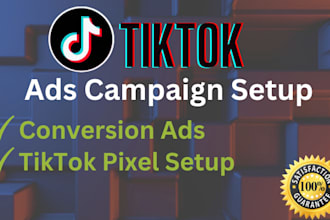 setup tiktok ads campaign, tiktok ads campaign management