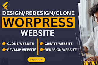 design, redesign, clone, or revamp wordpress website or blog