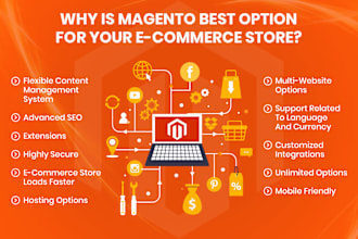 fix magento application issues, create a new ecommerce store