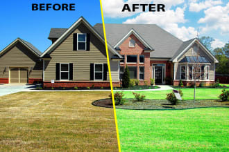 replace the grass and blue sky for a real estate photo