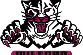 l do embroidery digitizing in tajima pulse for pxf,dst