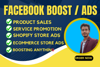 manage facebook and instagram ads campaign for your ecommerce store sales