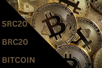 develop brc20  launchpad ido on bitcoin blockchain