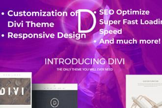 create exceptional divi wordpress website, divi expert