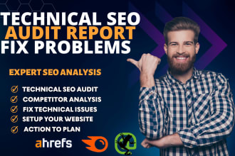 do website audit report and fix technical SEO problems