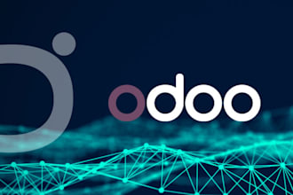 do your odoo erp customizations