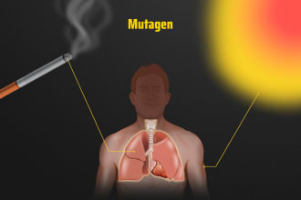 draw original scientific and medical illustration